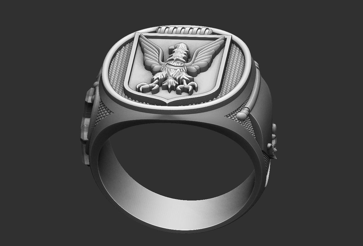 Coat of Arms Eagle Ring - Brasao 3D print model_6