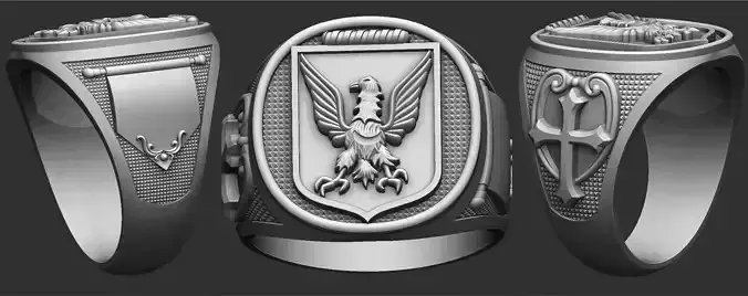 Coat of Arms Eagle Ring - Brasao 3D print model
