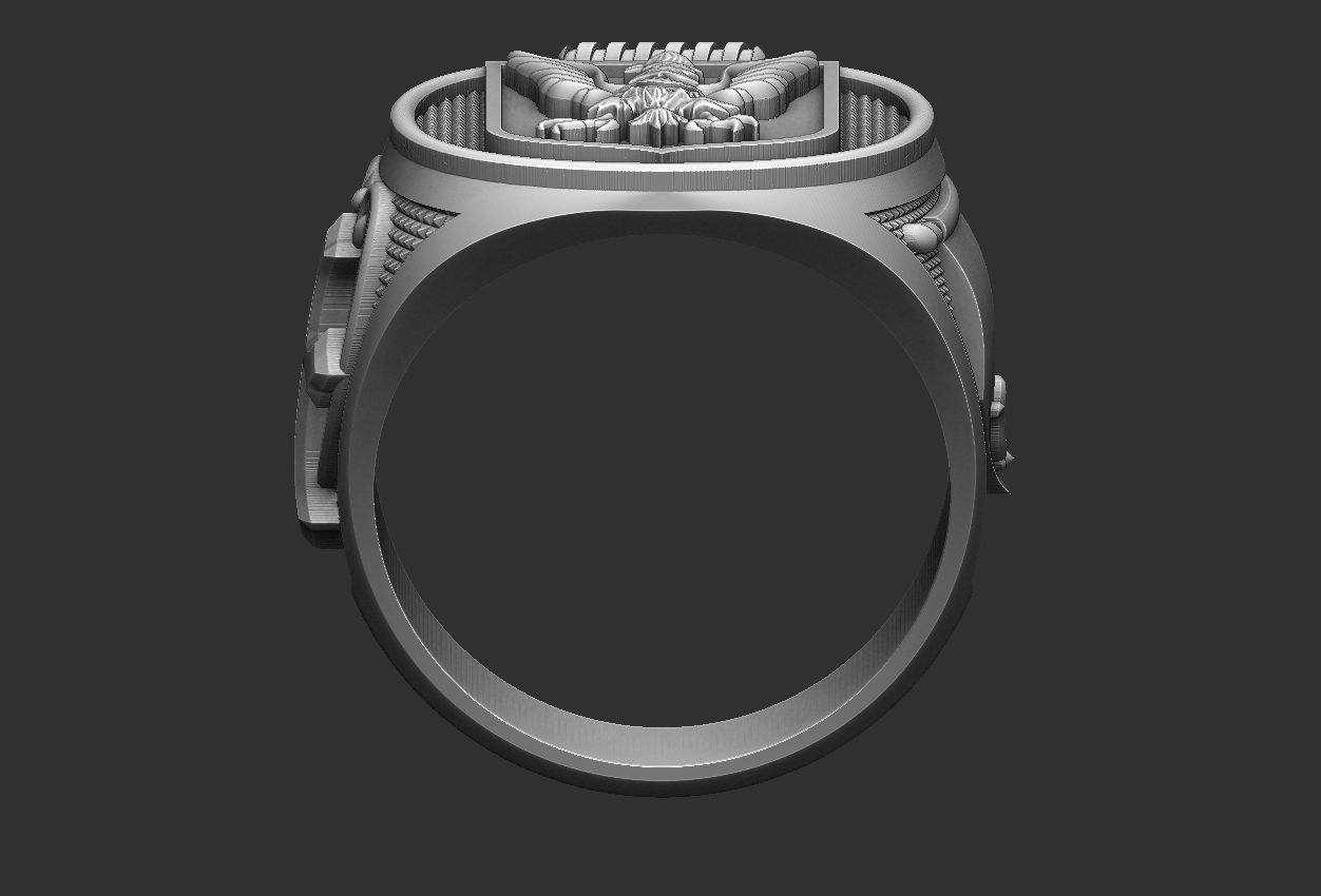 Coat of Arms Eagle Ring - Brasao 3D print model_5