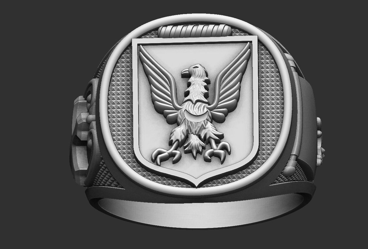 Coat of Arms Eagle Ring - Brasao 3D print model_1