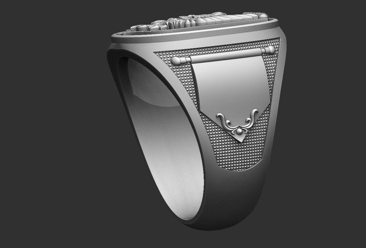 Coat of Arms Eagle Ring - Brasao 3D print model_3