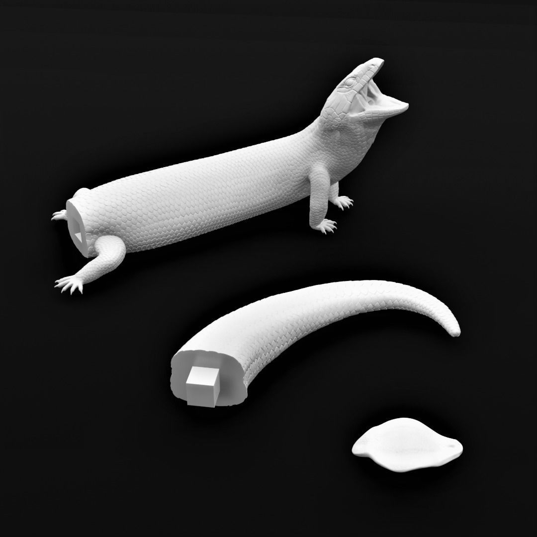 Blue Tongued Skink - Lizard Realistic Reptile 3d Print Model 3D print model_6