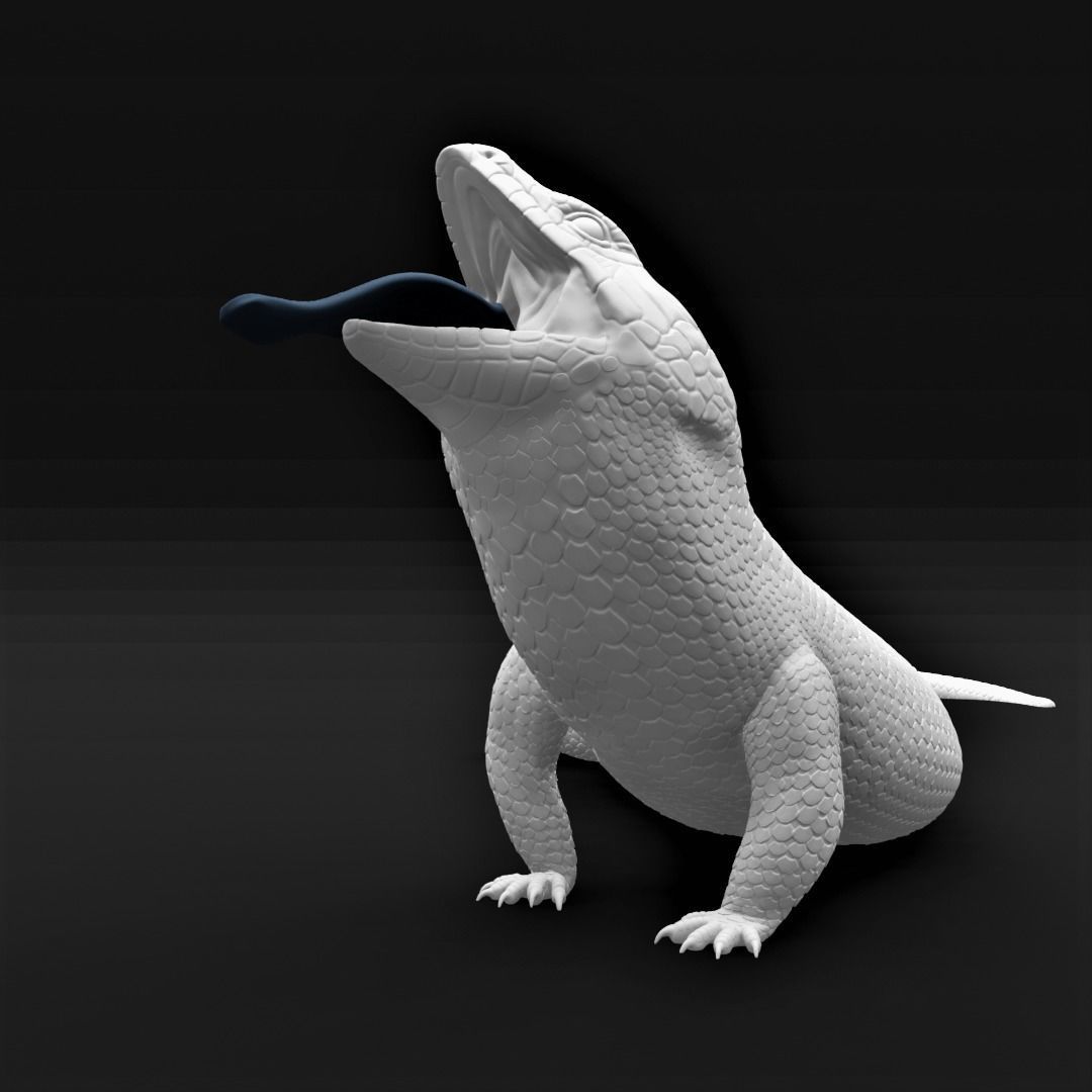 Blue Tongued Skink - Lizard Realistic Reptile 3d Print Model 3D print model_2