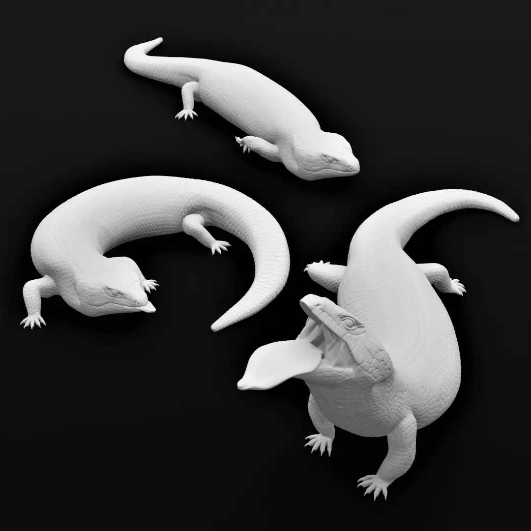 Blue Tongued Skink - Lizard Realistic Reptile 3d Print Model 3D print model_0