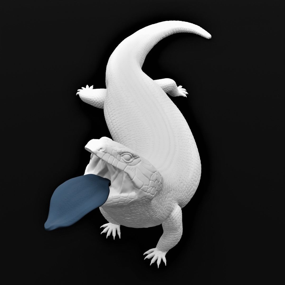 Blue Tongued Skink - Lizard Realistic Reptile 3d Print Model 3D print model_5