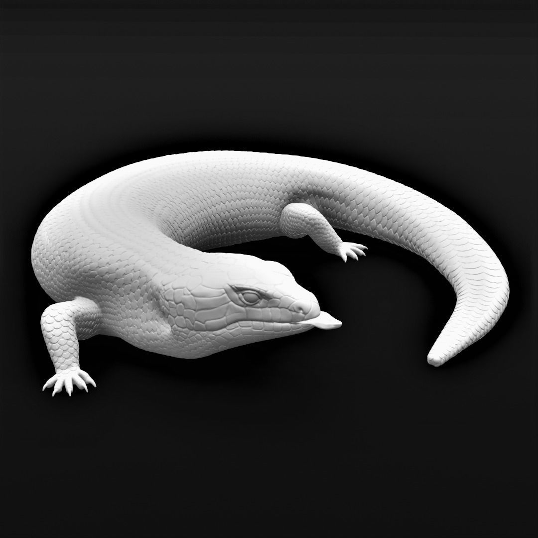 Blue Tongued Skink - Lizard Realistic Reptile 3d Print Model 3D print model_7