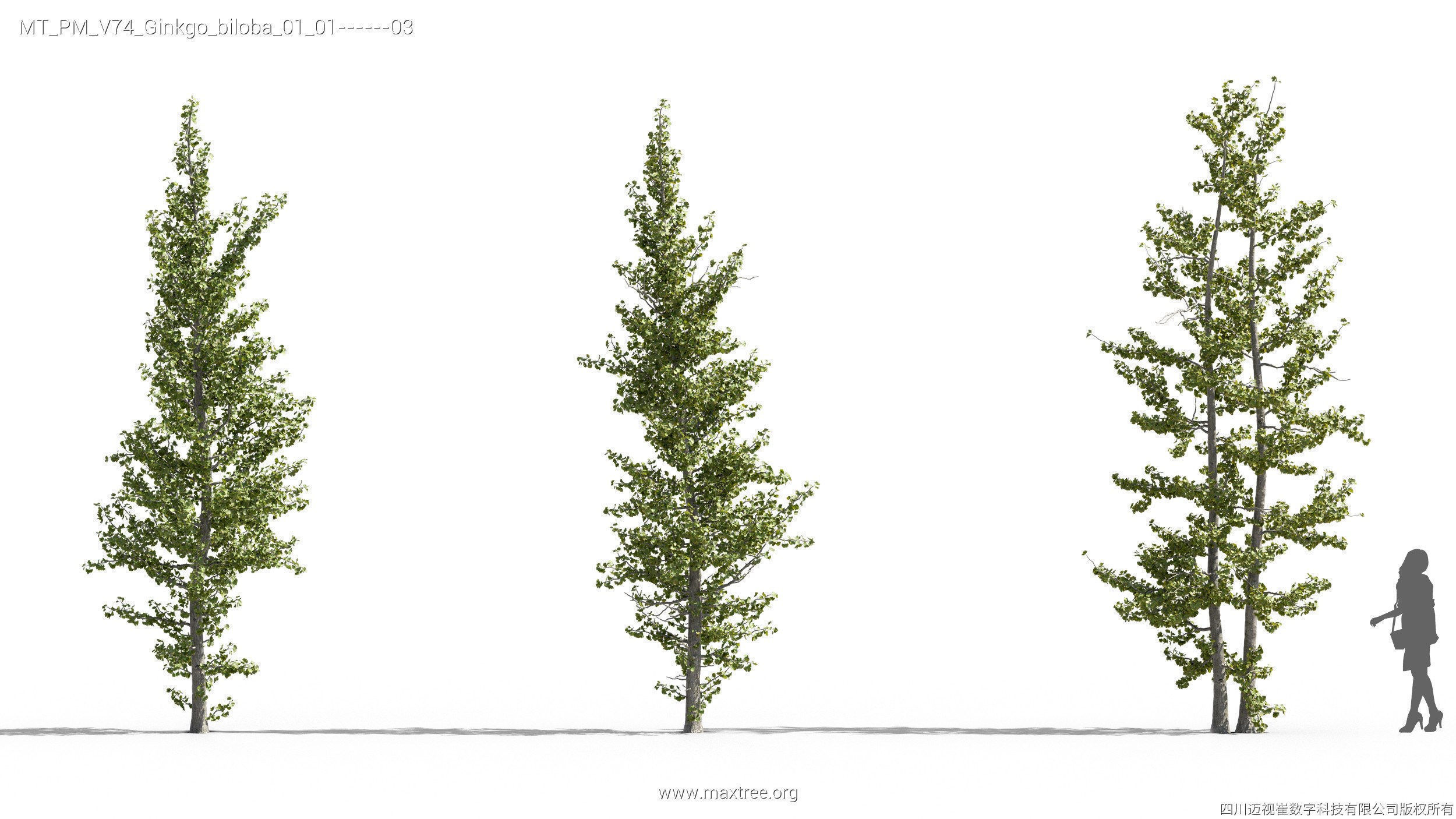 Maxtree Plant Models Vol 74 - Mesh 3D model_21
