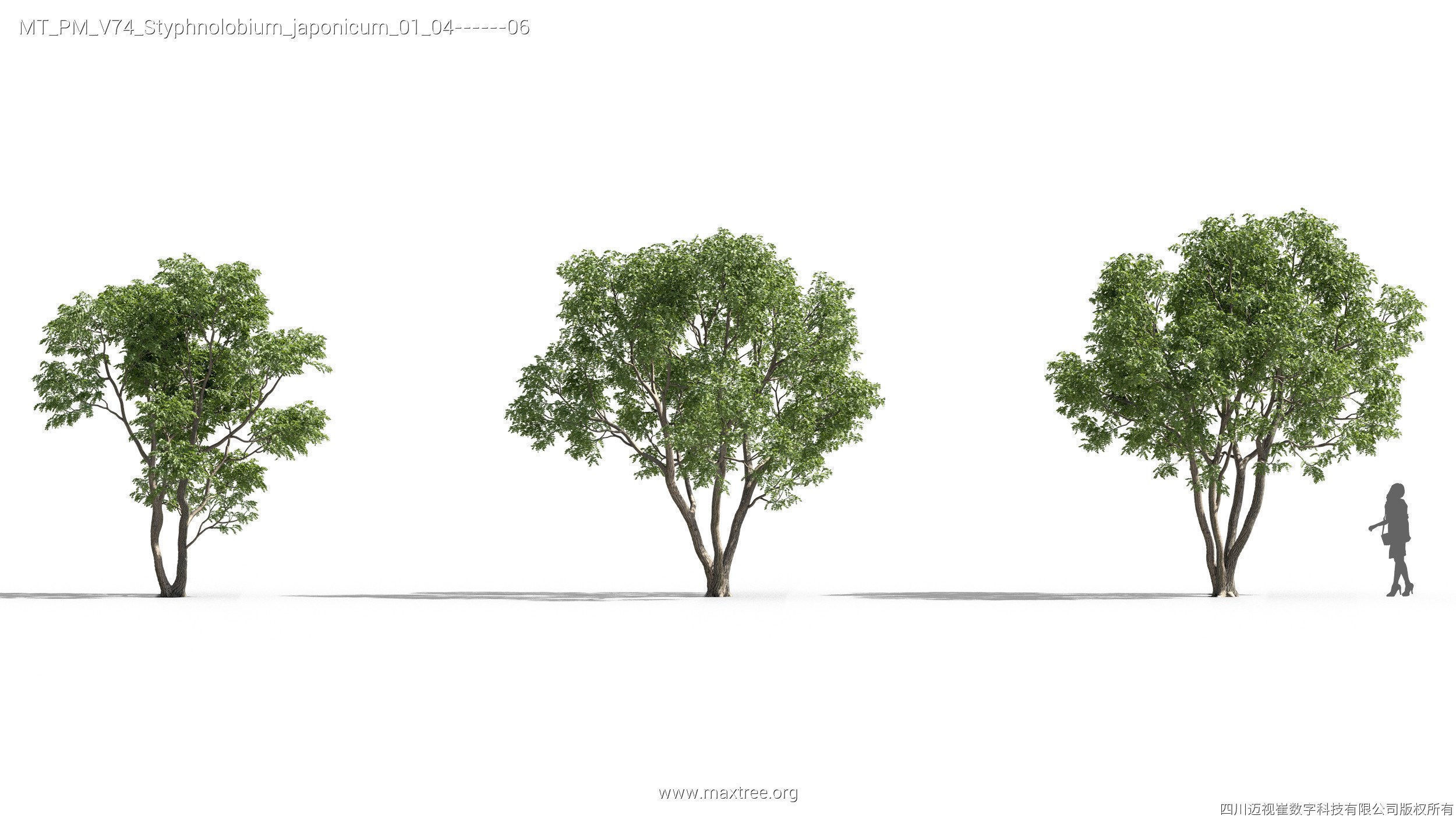 Maxtree Plant Models Vol 74 - Mesh 3D model_28