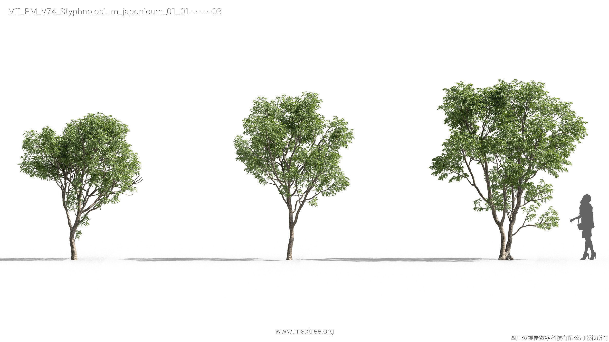 Maxtree Plant Models Vol 74 - Mesh 3D model_27