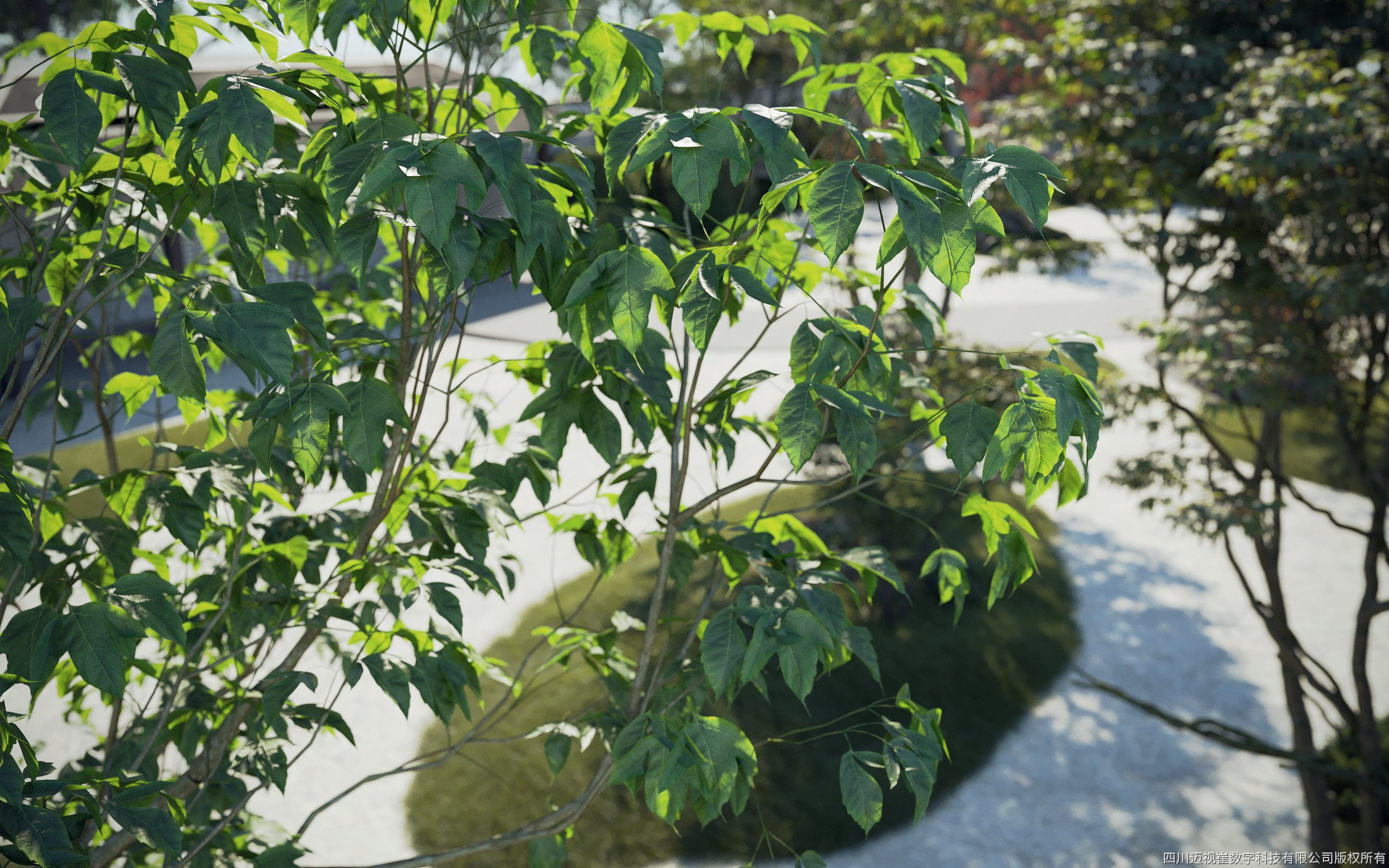 Maxtree Plant Models Vol 74 - Mesh 3D model_3