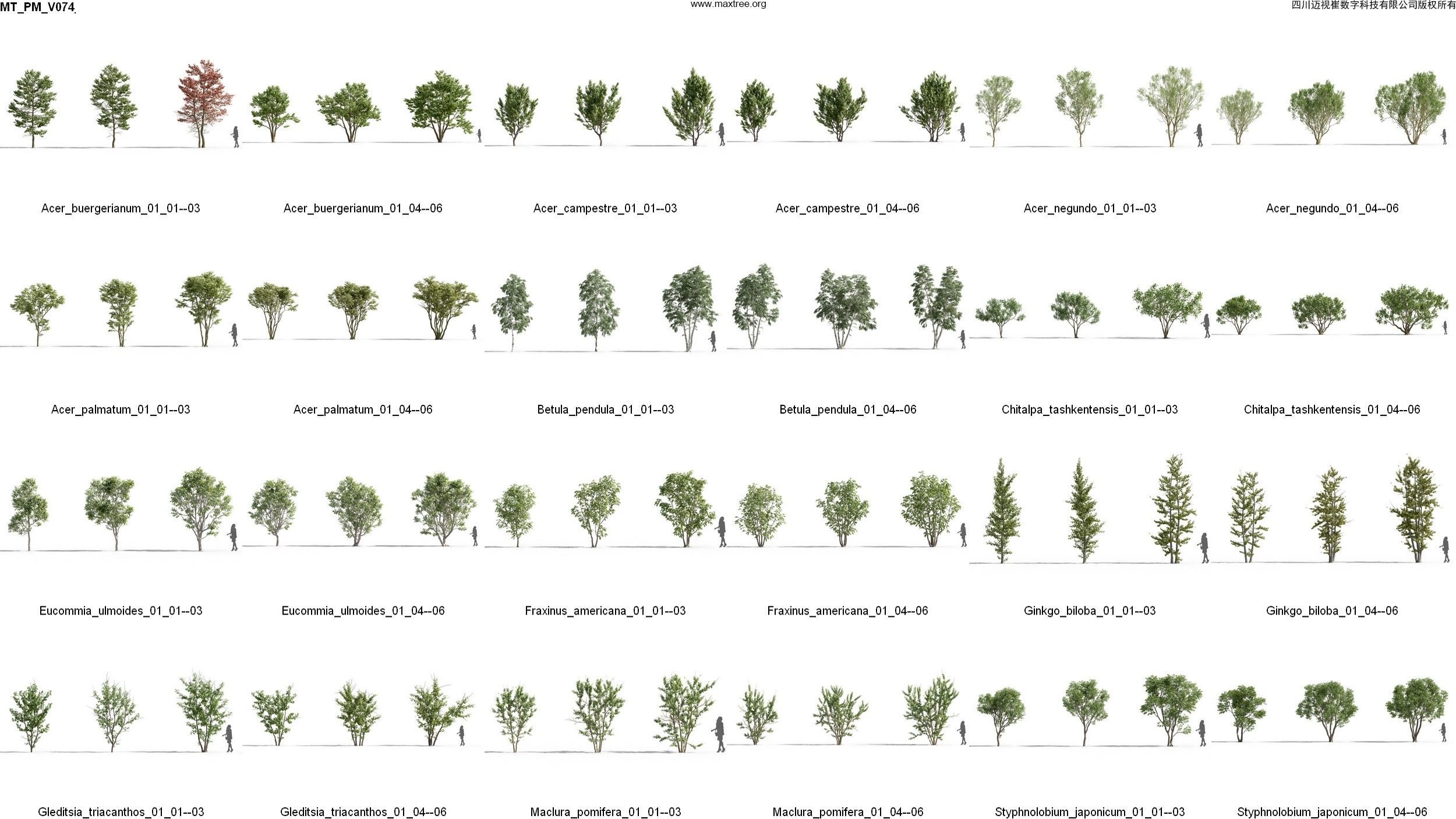 Maxtree Plant Models Vol 74 - Mesh 3D model_4