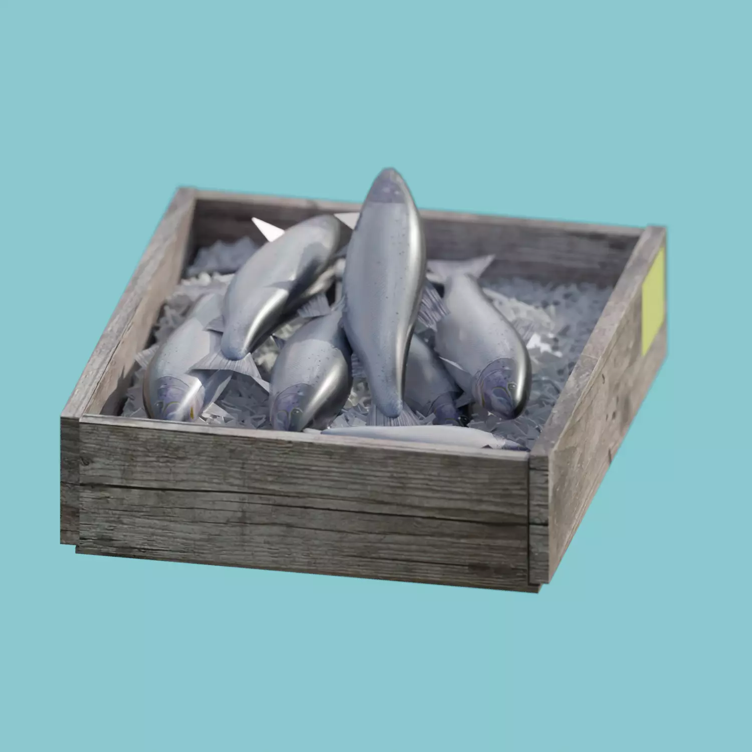 salmon fish Free 3D model