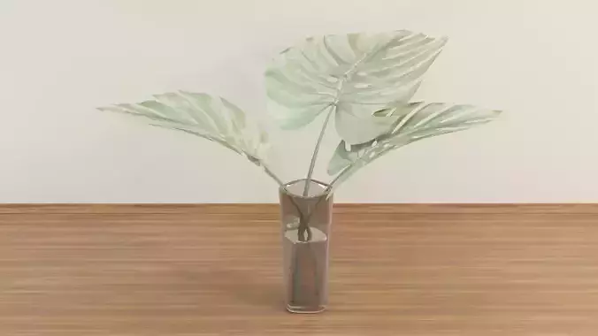 Glass Vase with Monstera Plant
