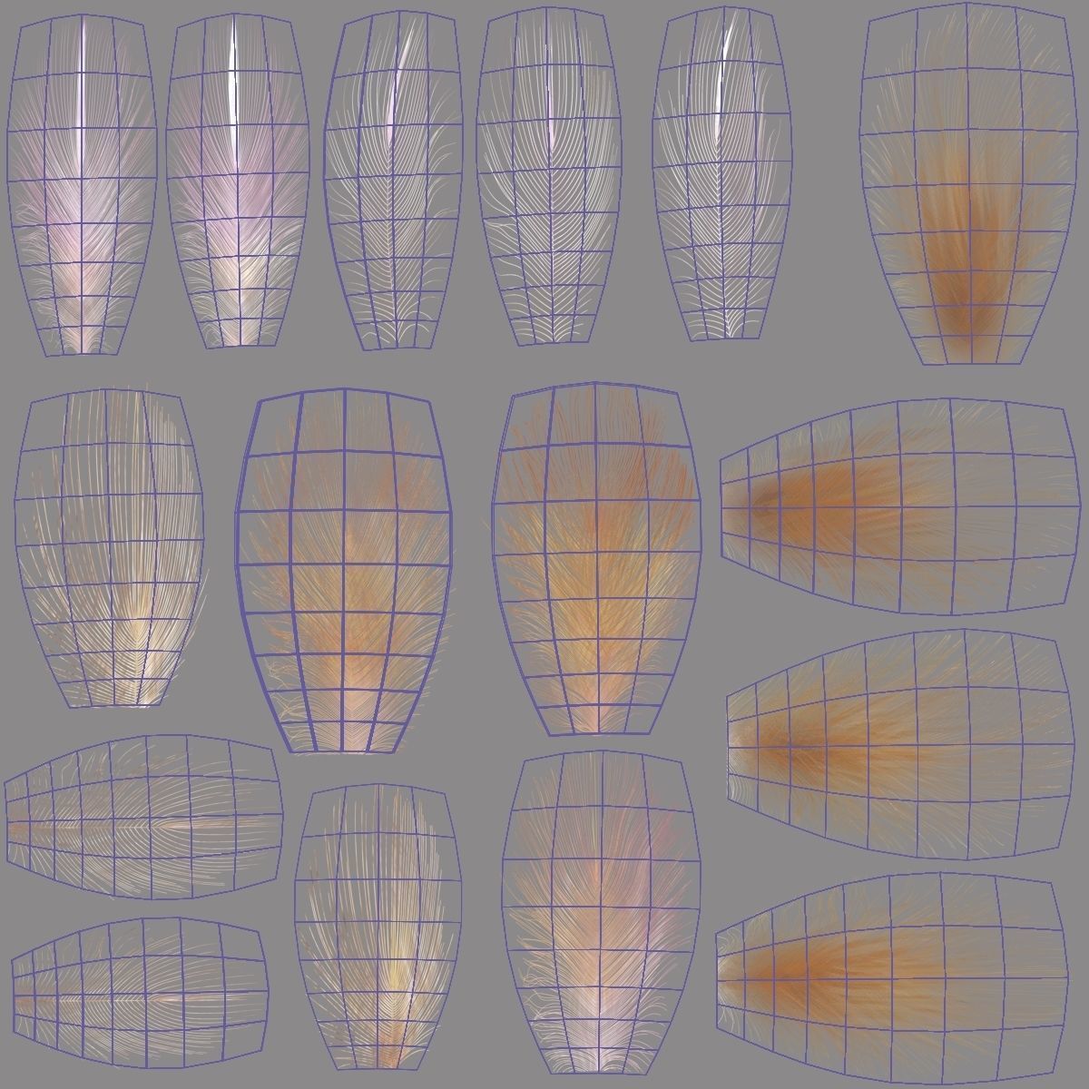 Bird Coracias Caudatus VFX Grace 3D model_48