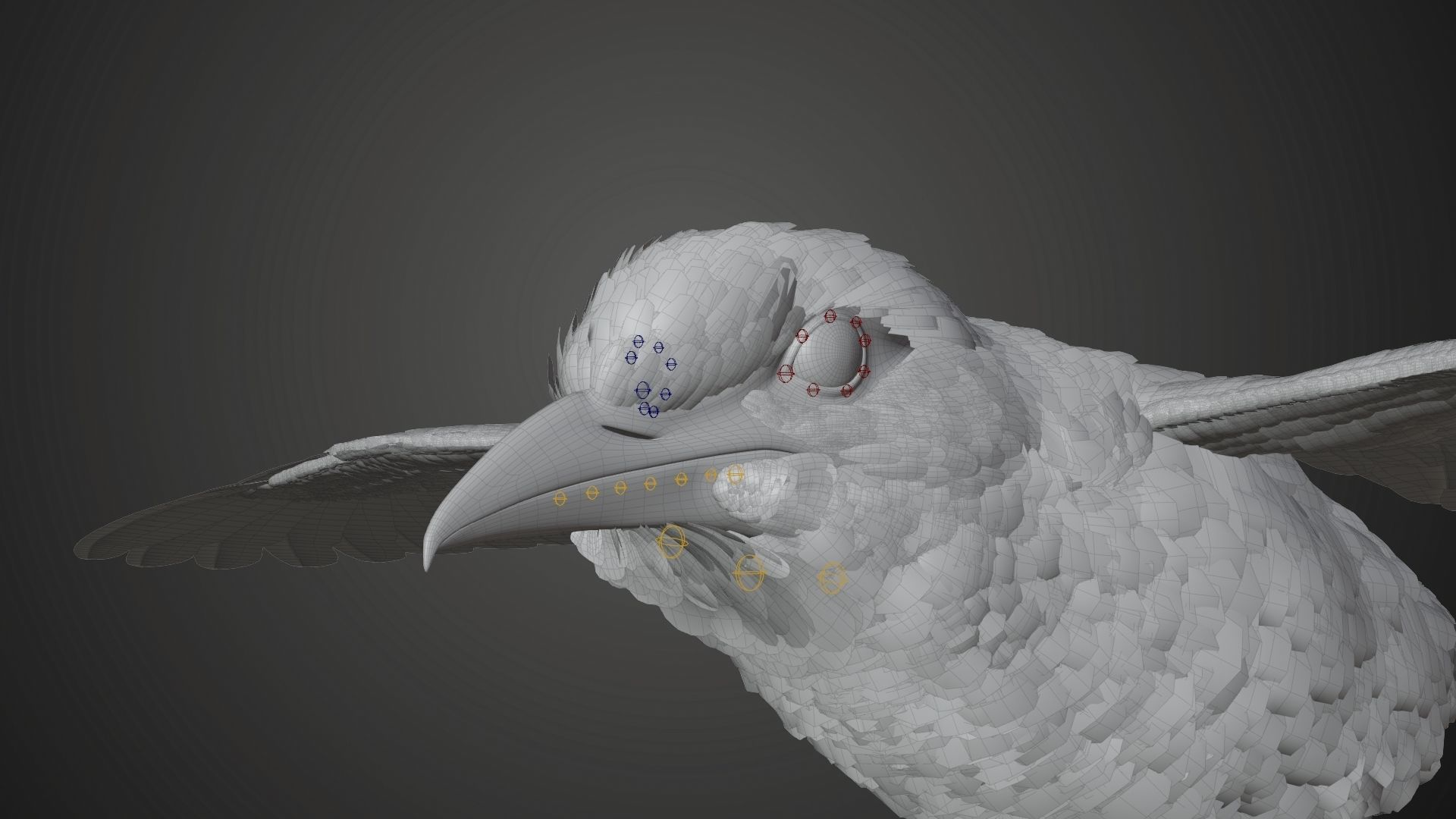 Bird Coracias Caudatus VFX Grace 3D model_35