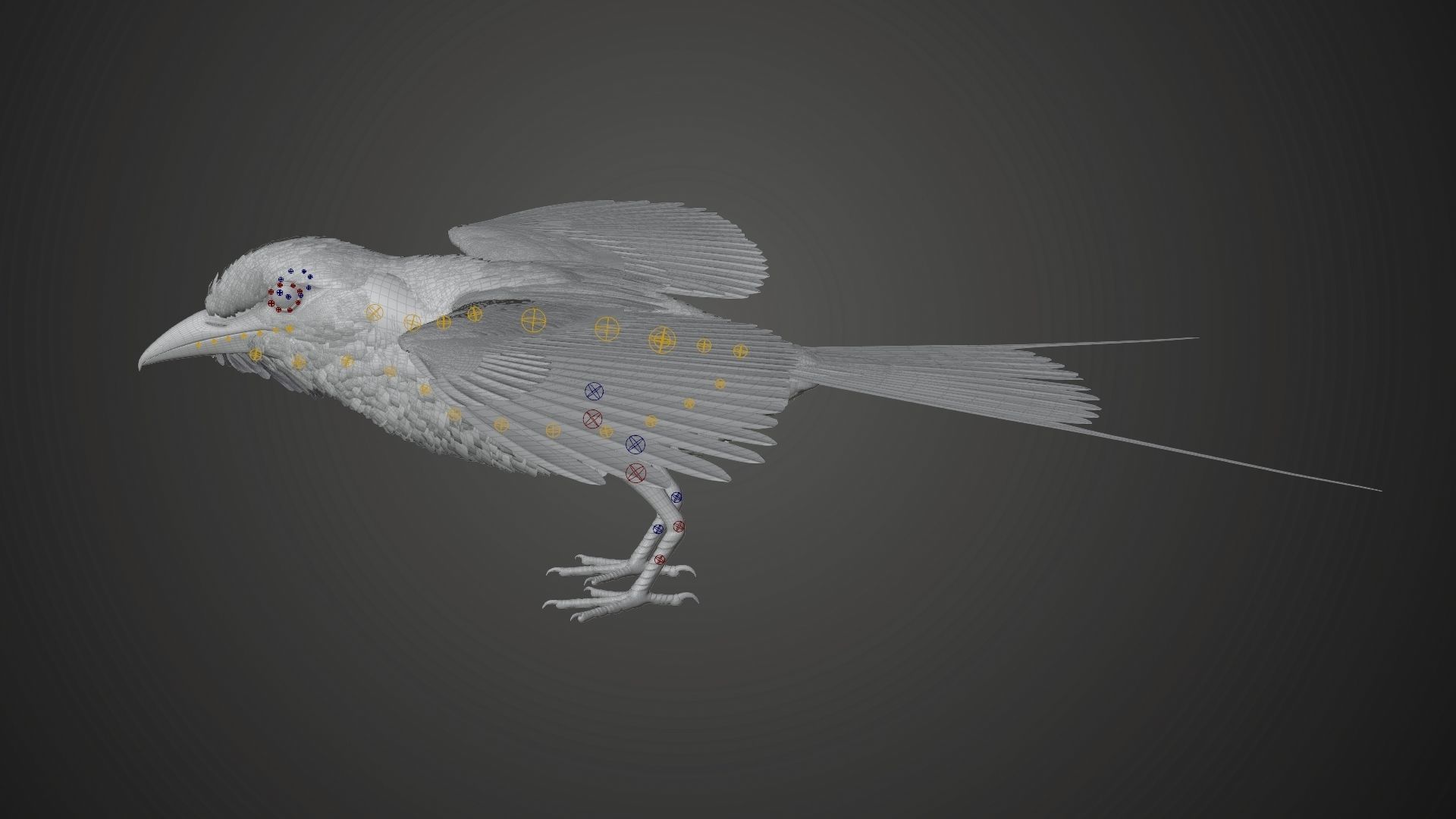 Bird Coracias Caudatus VFX Grace 3D model_23
