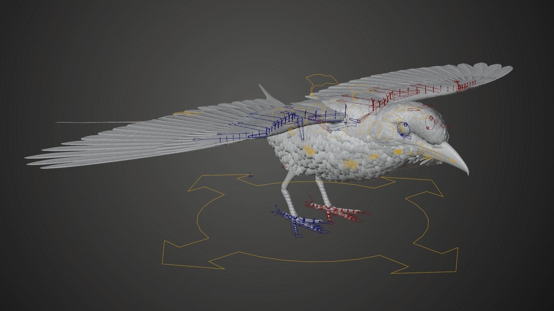 Bird Coracias Caudatus VFX Grace 3D model_25