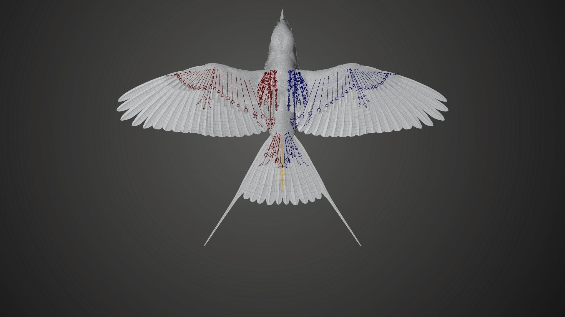 Bird Coracias Caudatus VFX Grace 3D model_29