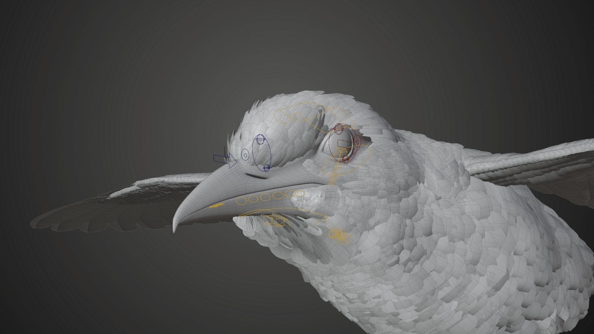 Bird Coracias Caudatus VFX Grace 3D model_37