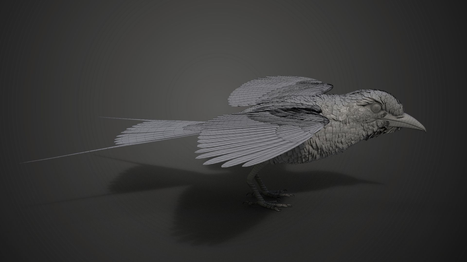 Bird Coracias Caudatus VFX Grace 3D model_41