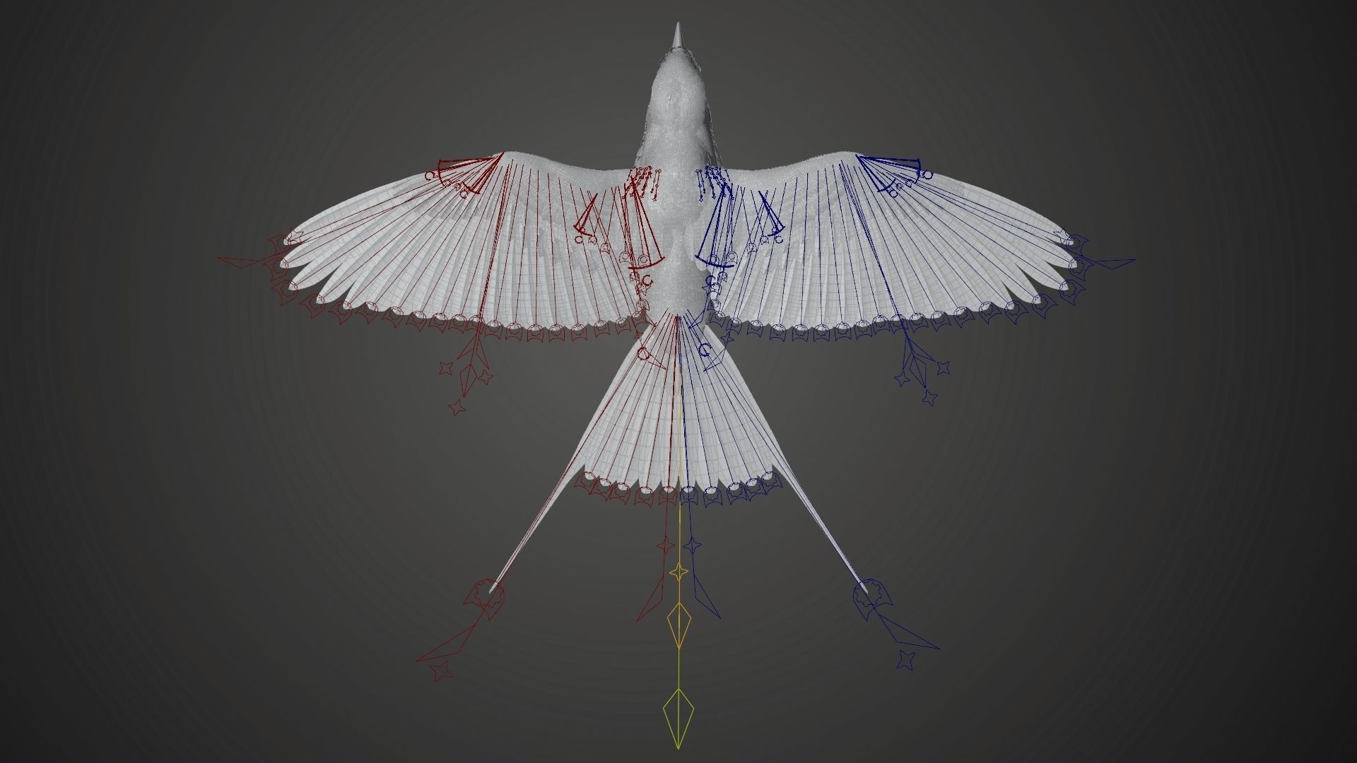 Bird Coracias Caudatus VFX Grace 3D model_27
