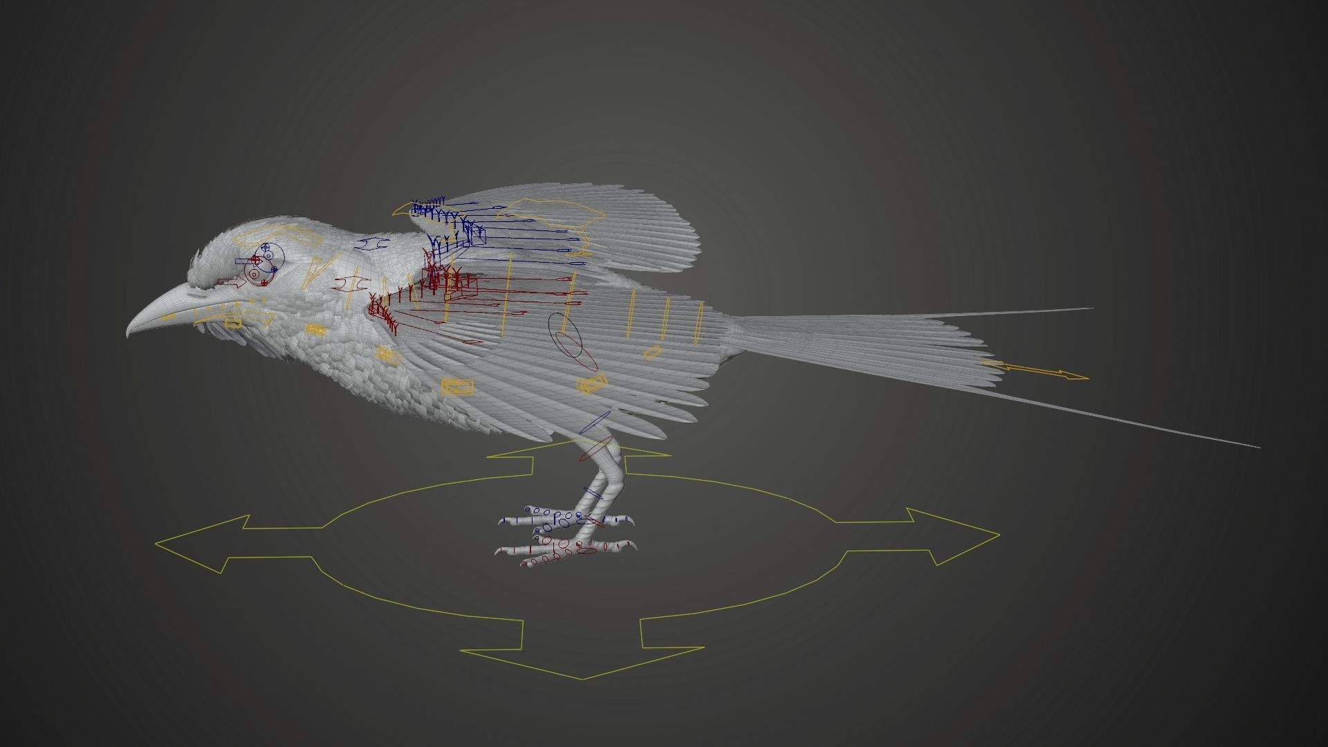Bird Coracias Caudatus VFX Grace 3D model_26