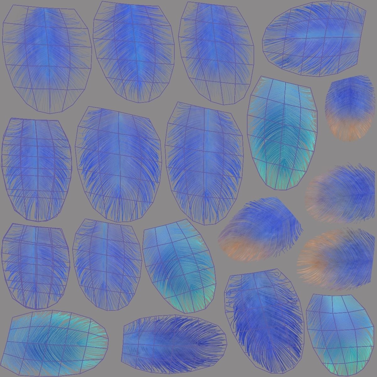 Bird Coracias Caudatus VFX Grace 3D model_53