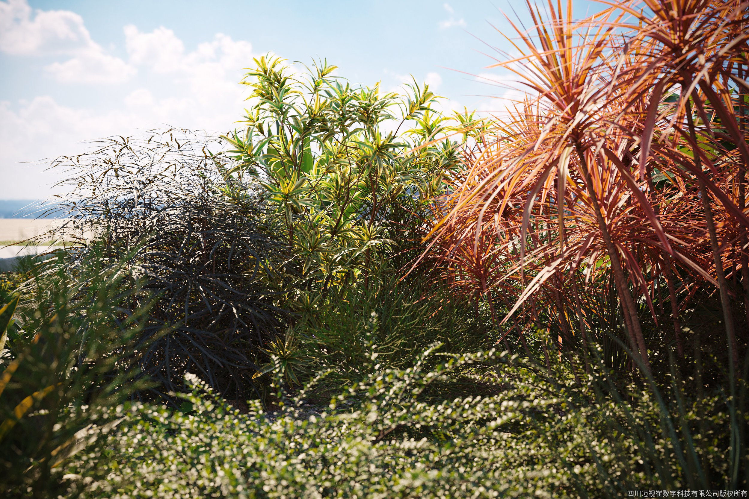 Maxtree Plant Models Vol 75 - Mesh 3D model_3