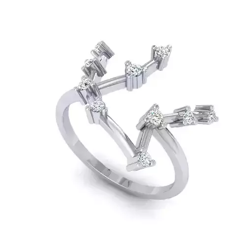 3D Files of Horoscope Astrology Rings for sale 3D print model
