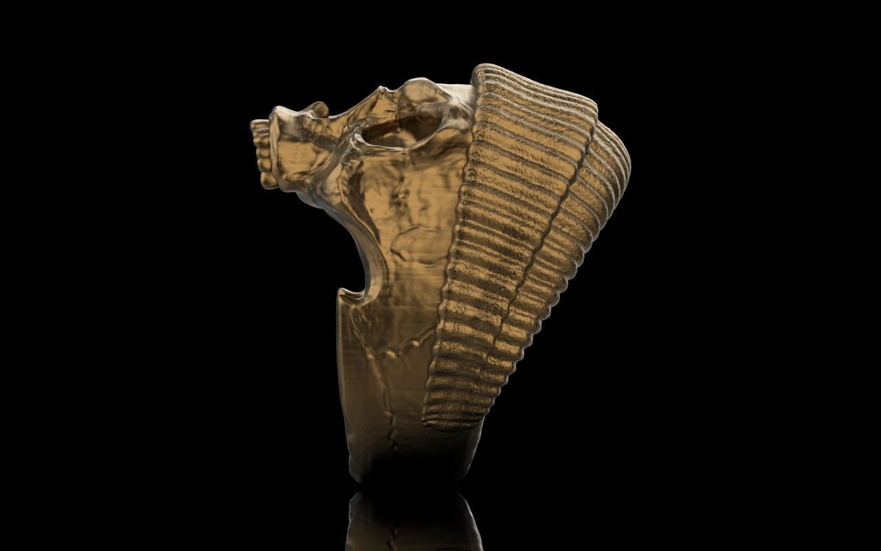 Ring Skull 3D print model 3D print model_4