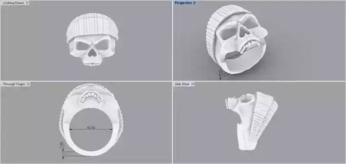 Ring Skull 3D print model