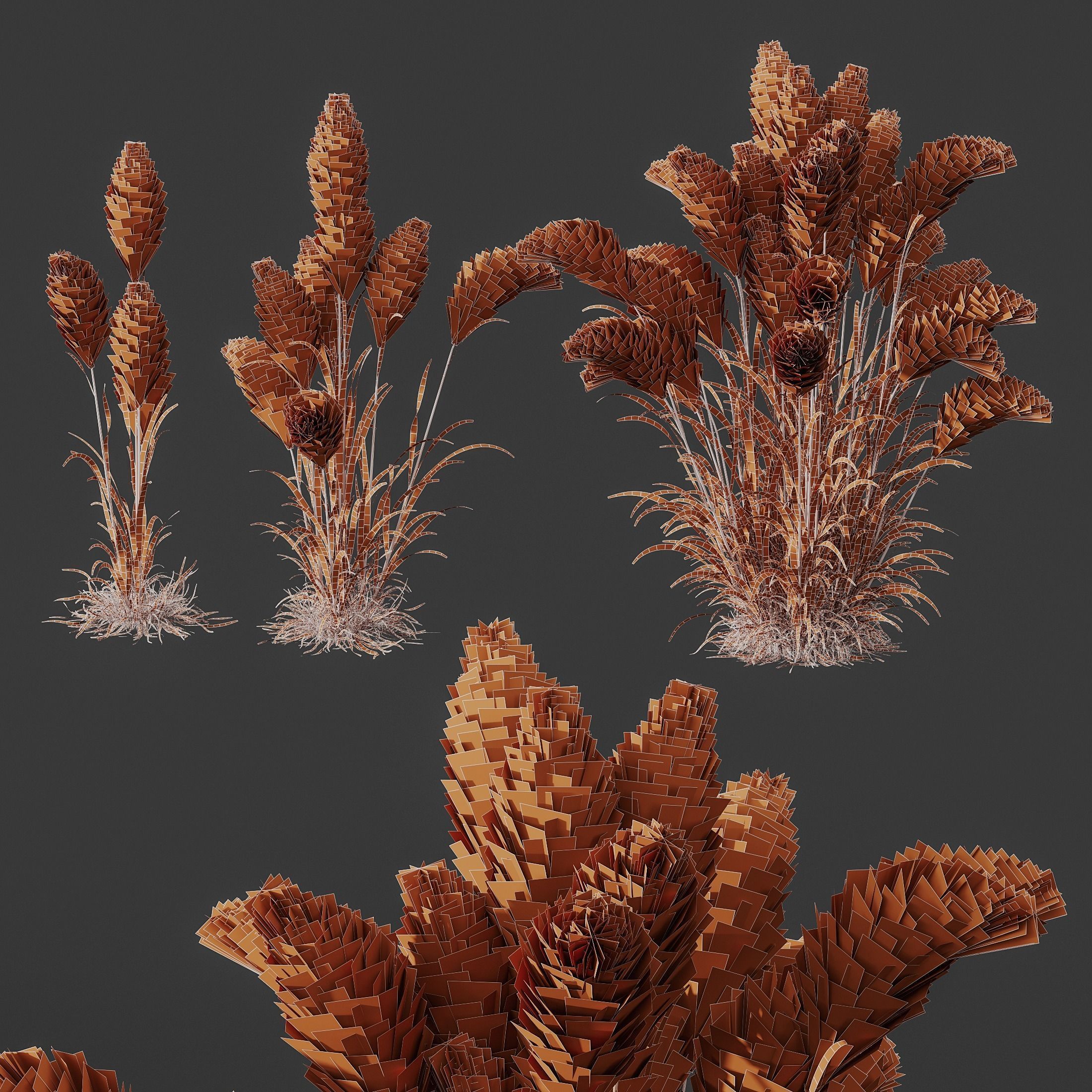 Hordeum Jubatum Foxtail Barley Ornementale Orge Version05 3D model_4