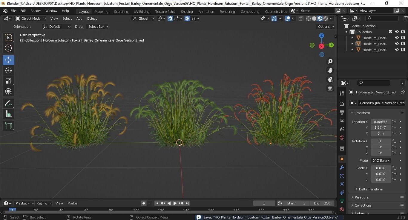 Hordeum Jubatum Foxtail Barley Ornementale Orge Version03 3D model_5