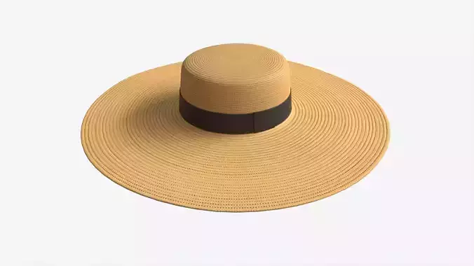 Wide Brim Straw Hat for Women