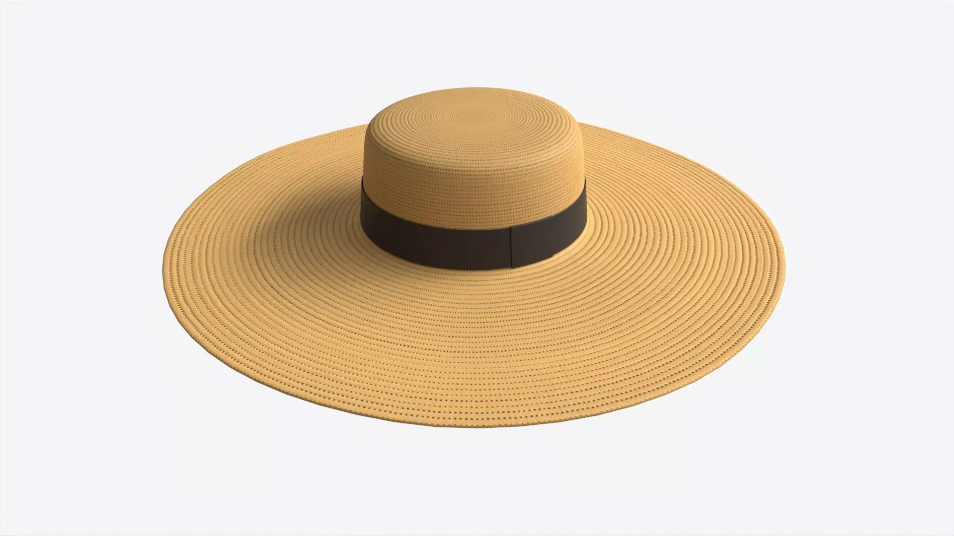 Wide Brim Straw Hat for Women 3D model