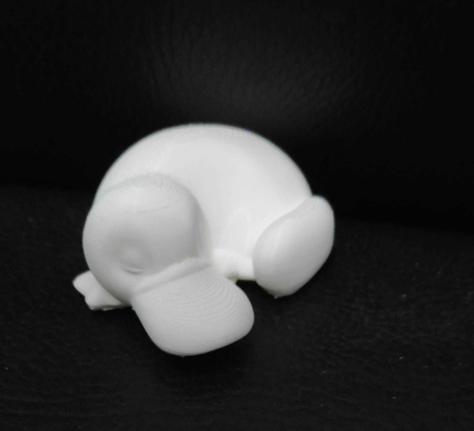 Sleeping Platypus 3D print model_14
