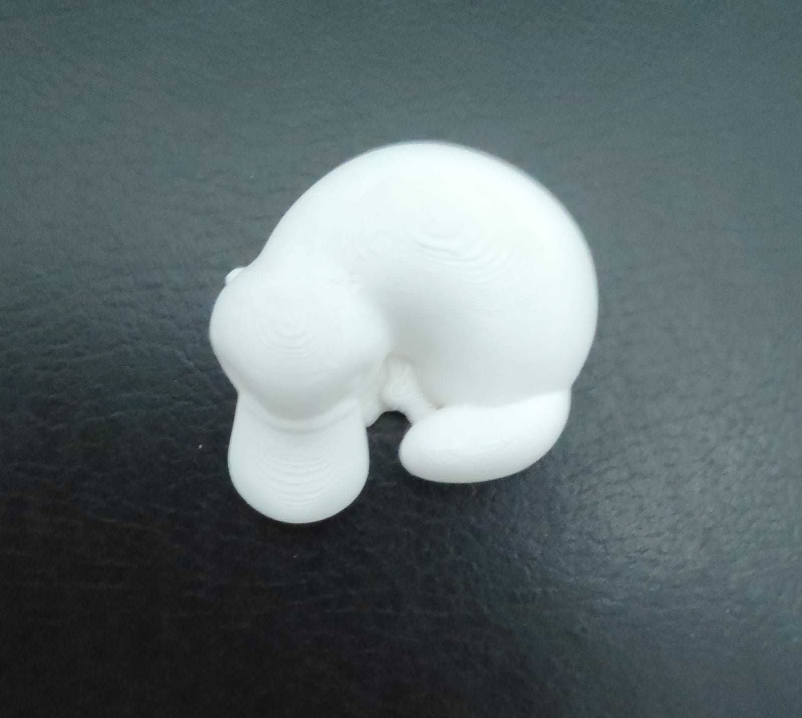 Sleeping Platypus 3D print model_12