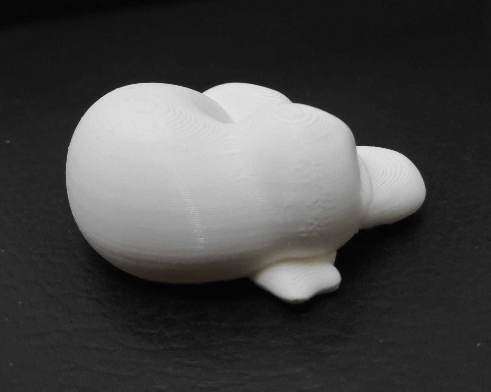 Sleeping Platypus 3D print model_6