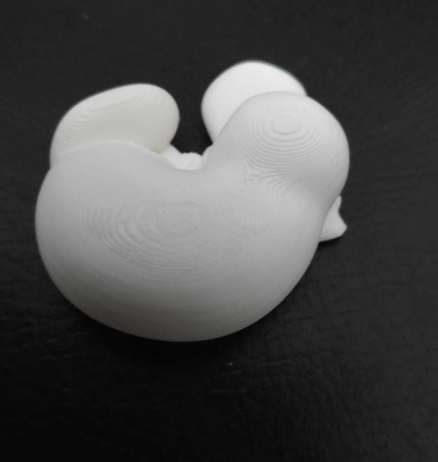 Sleeping Platypus 3D print model_8