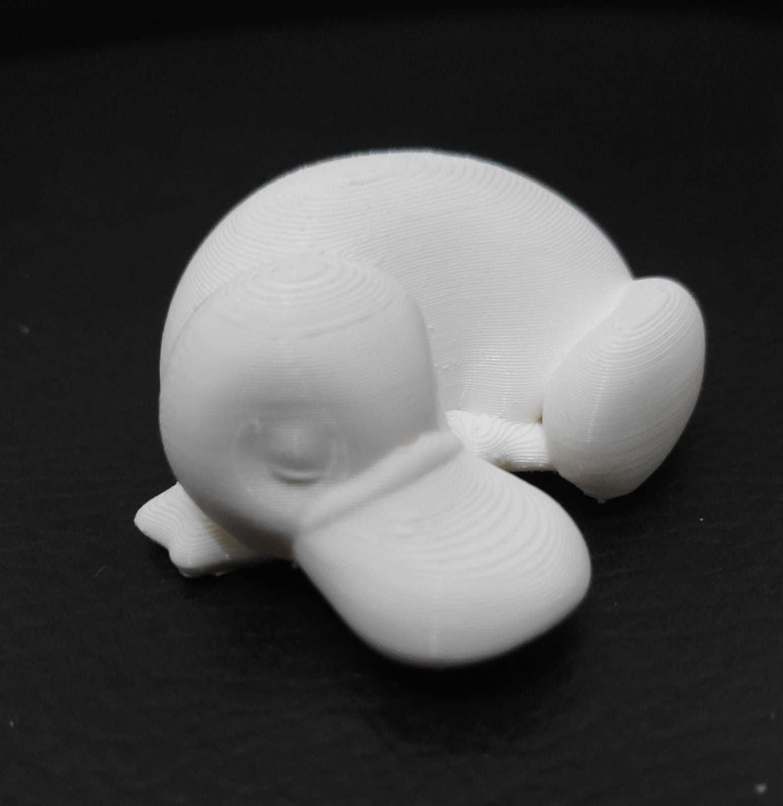 Sleeping Platypus 3D print model_13