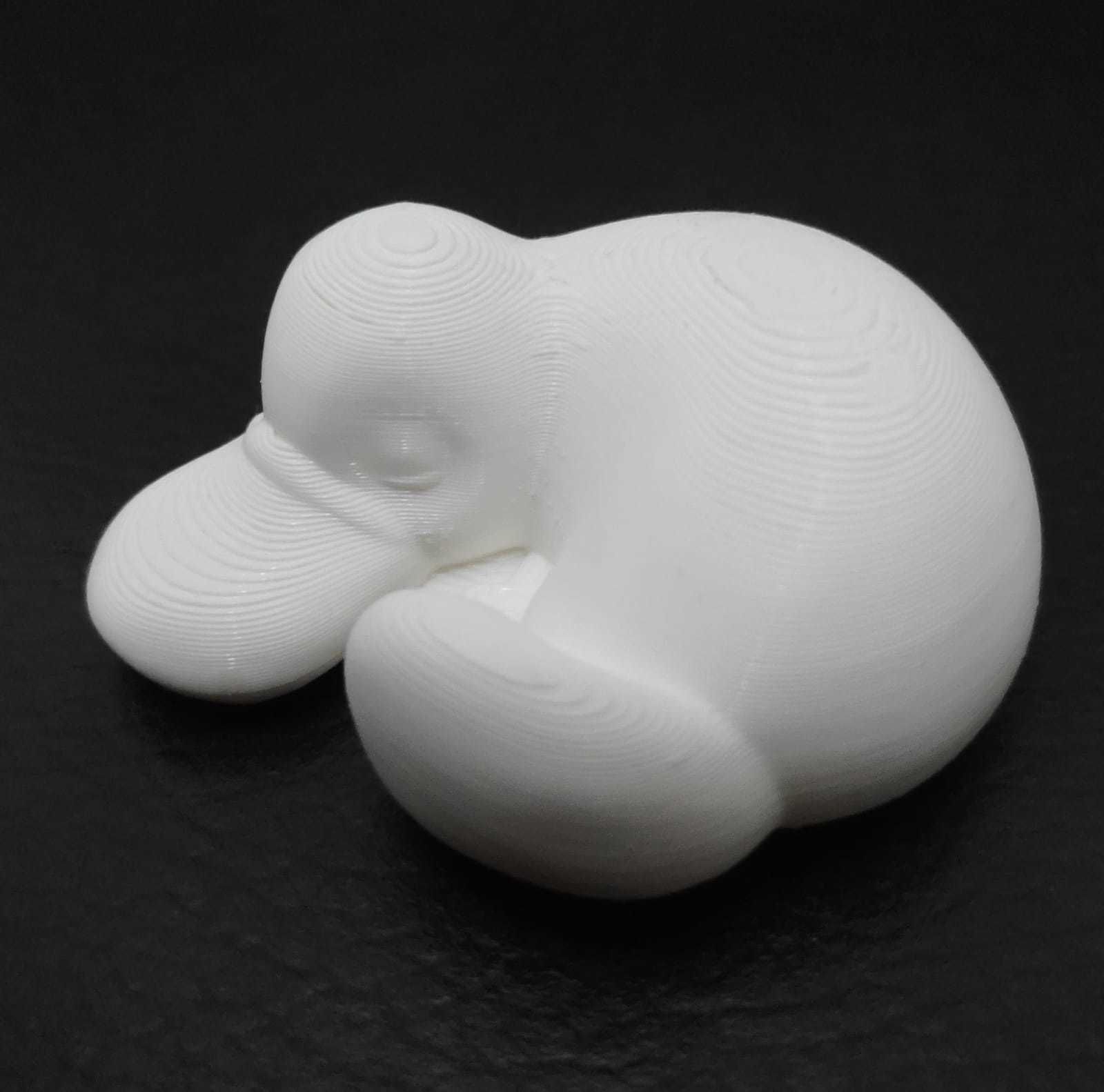 Sleeping Platypus 3D print model_10