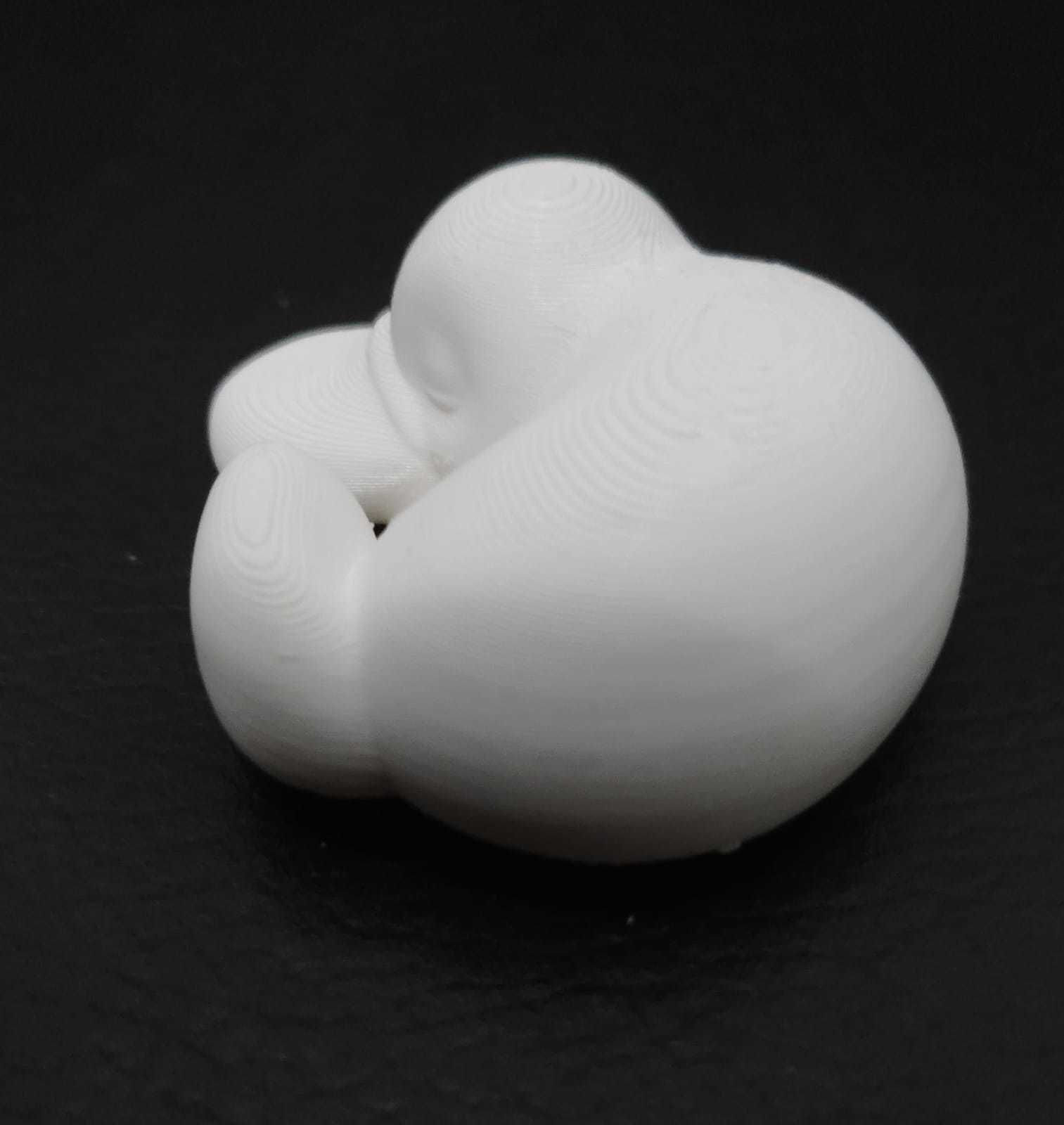 Sleeping Platypus 3D print model_9