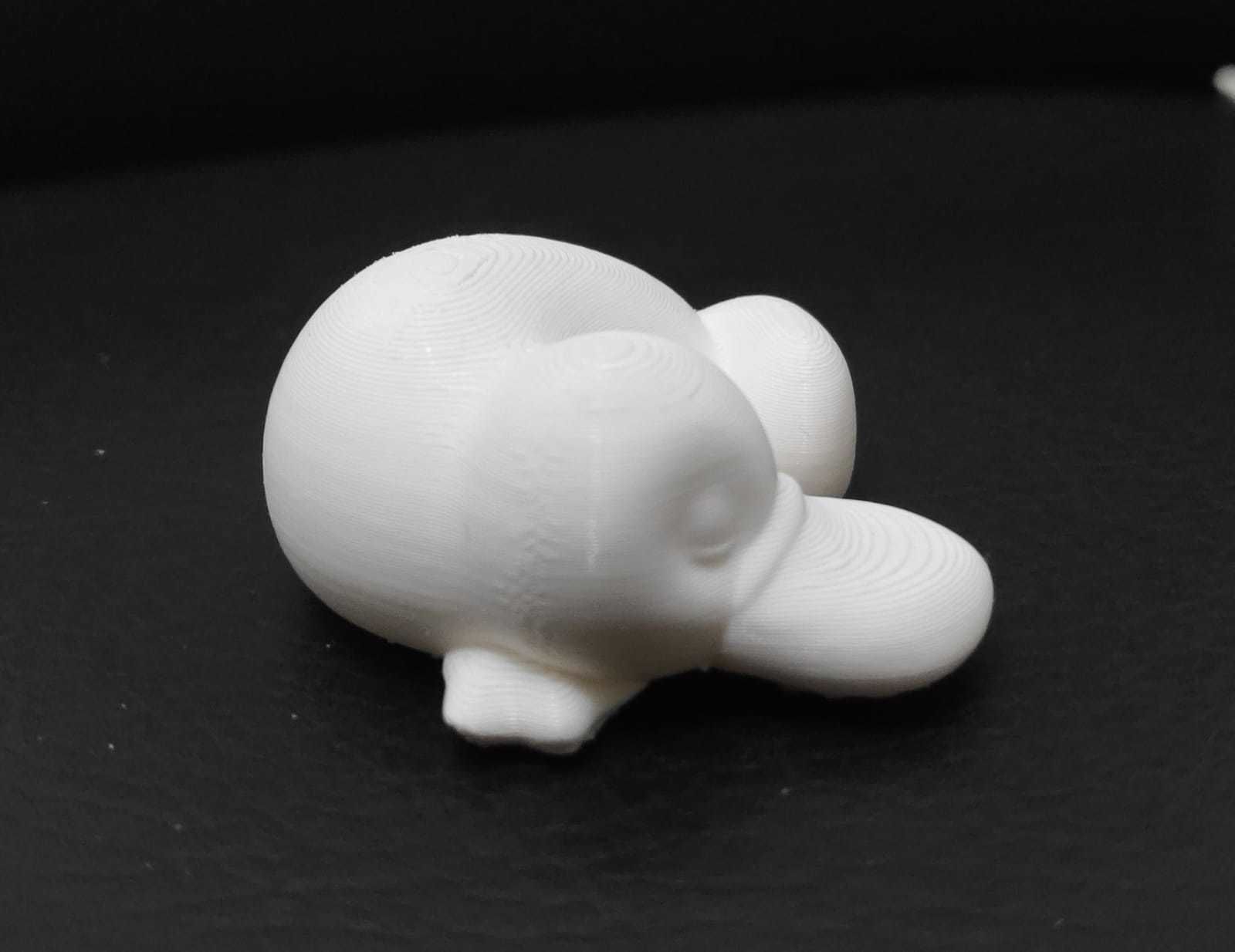 Sleeping Platypus 3D print model_5