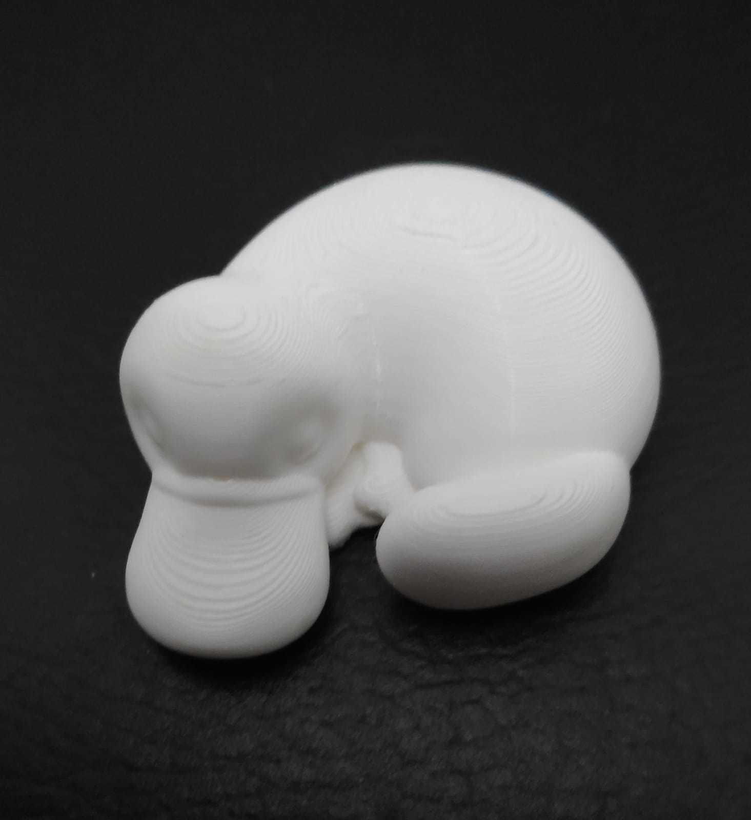 Sleeping Platypus 3D print model_3