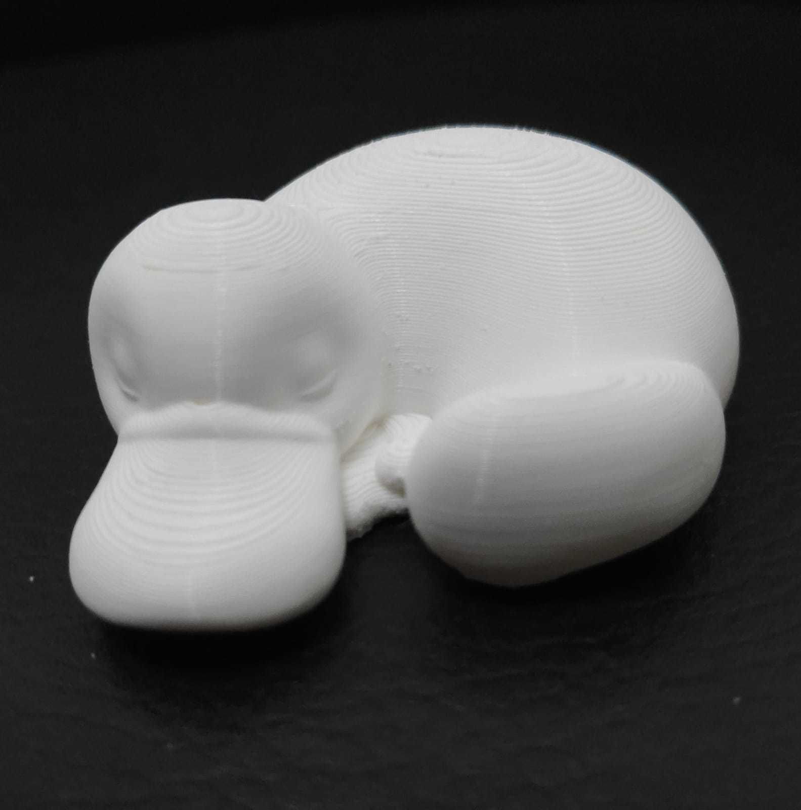 Sleeping Platypus 3D print model_11