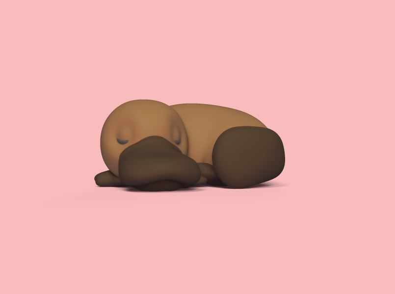 Sleeping Platypus 3D print model_1