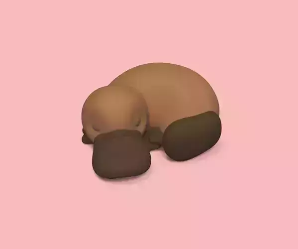 Sleeping Platypus