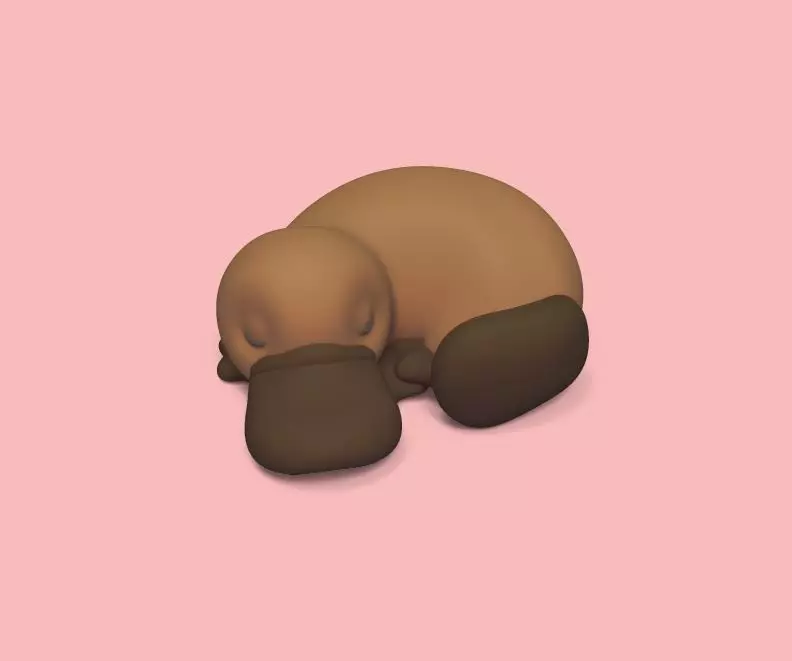 Sleeping Platypus 3D print model_0