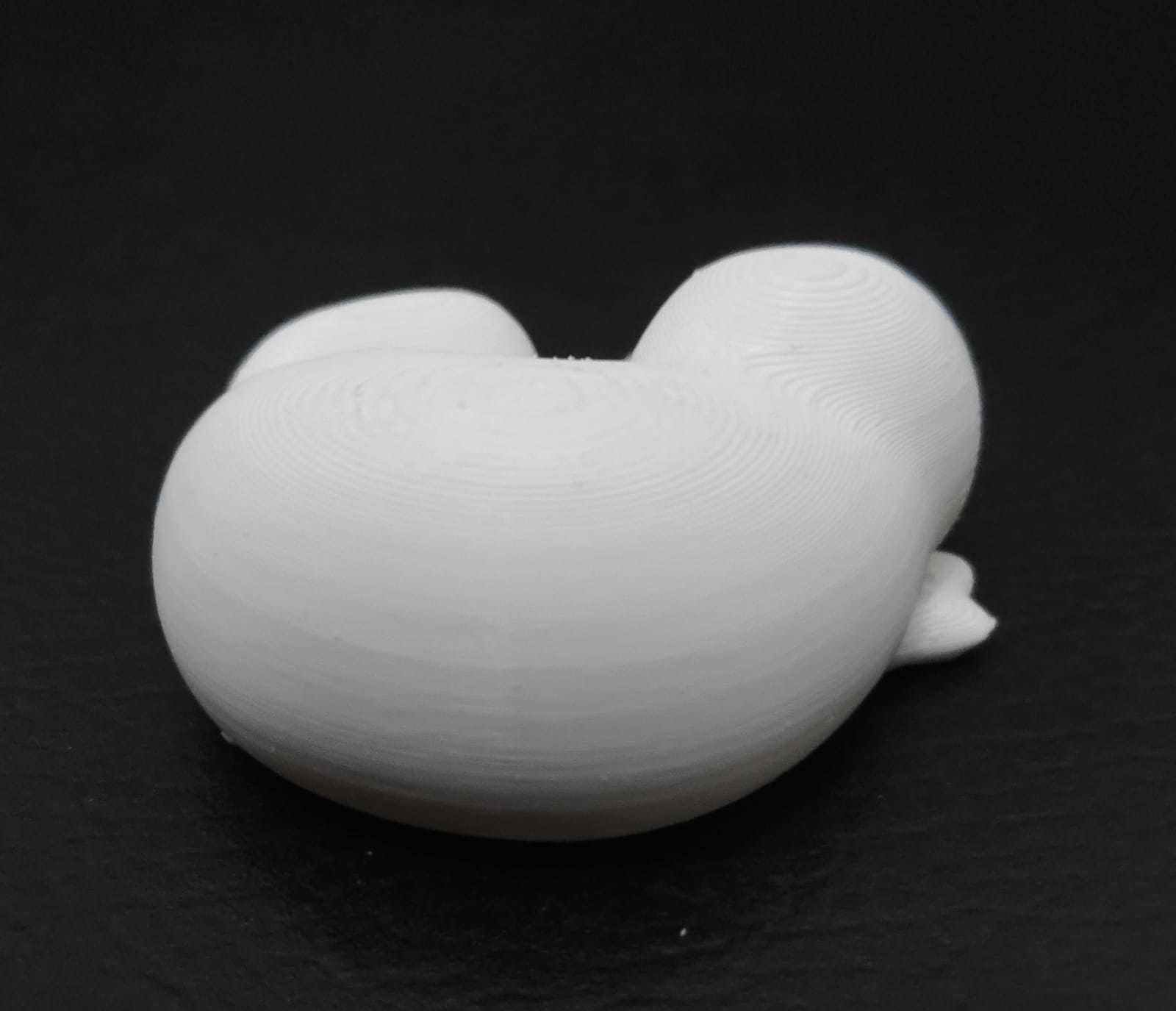 Sleeping Platypus 3D print model_7