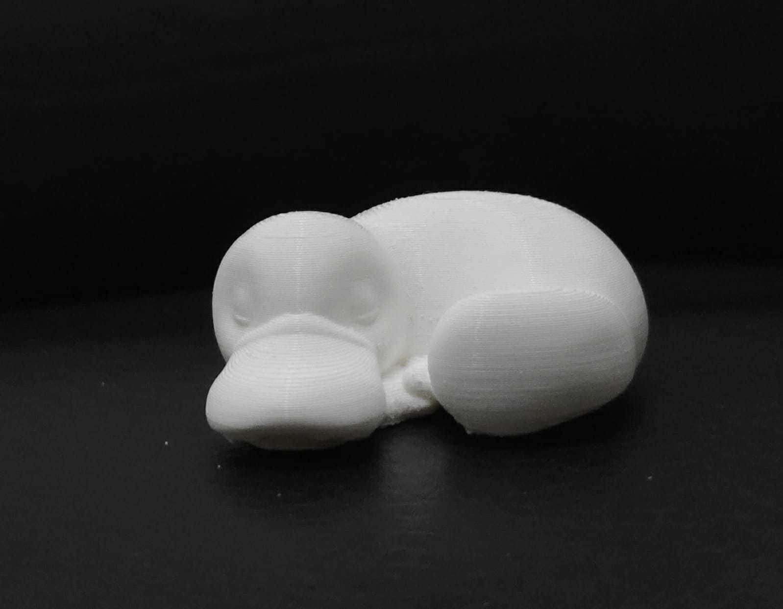 Sleeping Platypus 3D print model_4